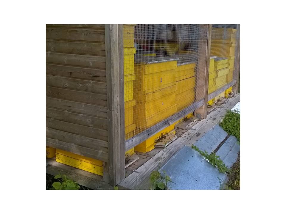 Bienenstände der Martin Imkerei